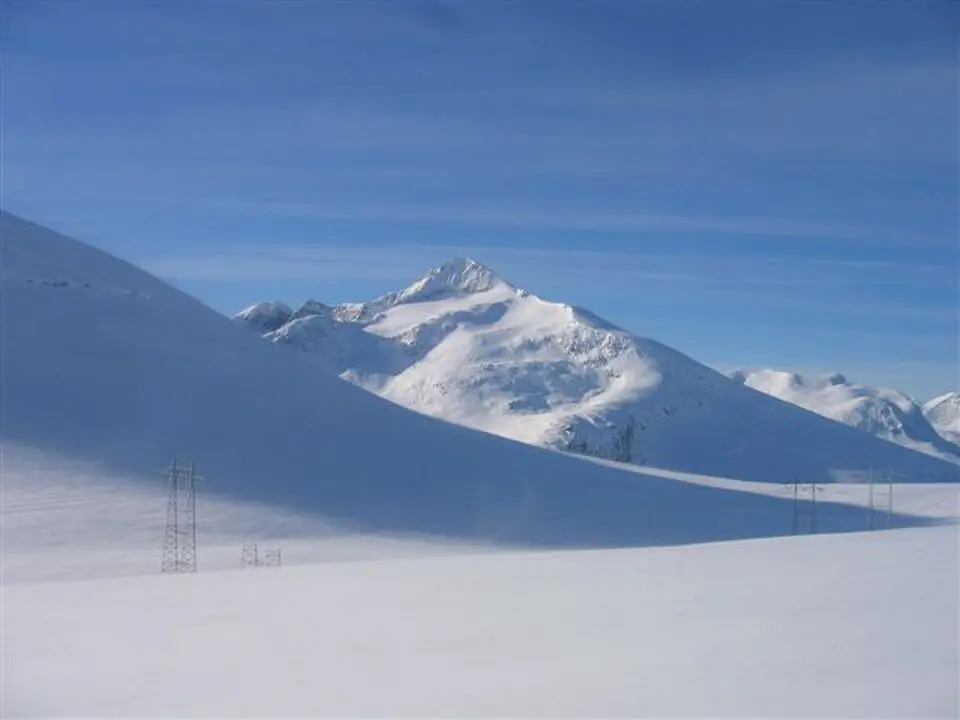 Skjorta
