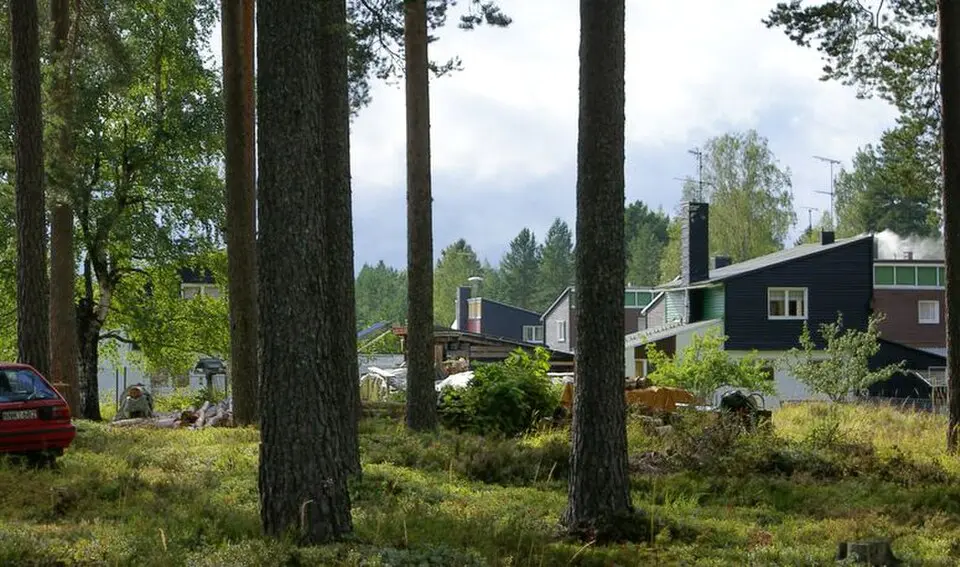 Jädraås