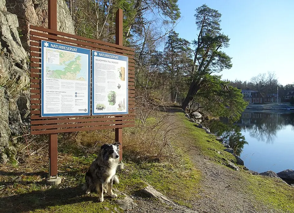 Skogsö naturreservat