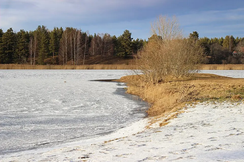 Skogssjöområdet