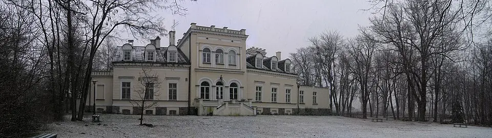 Pałac, Zamkowa 1 w Skokach