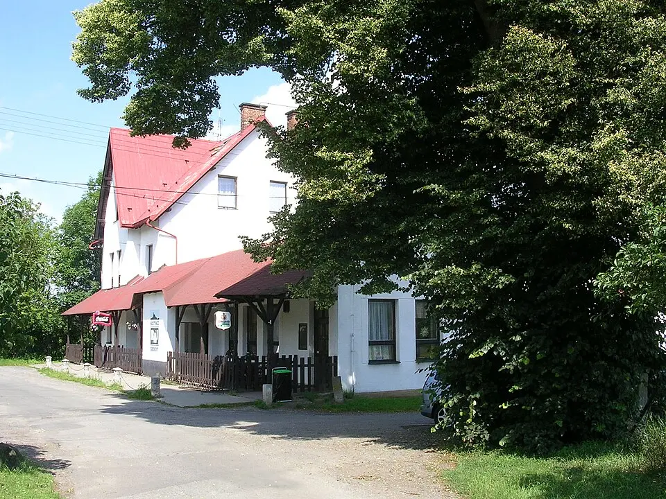 Skokovy