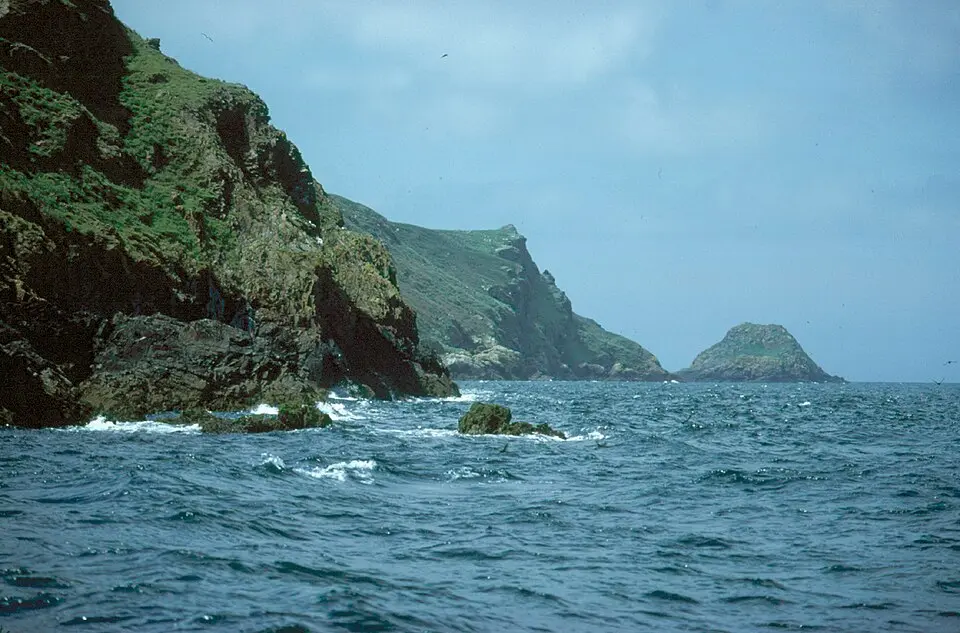 Skomer