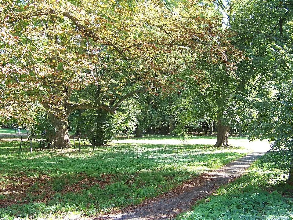 Park pałacowy w Skorogoszczy