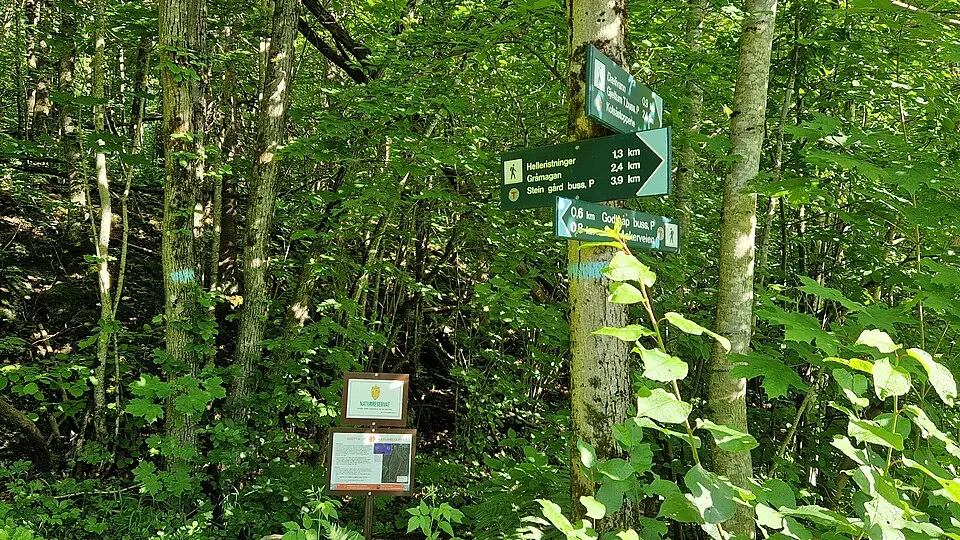 Skotta naturreservat