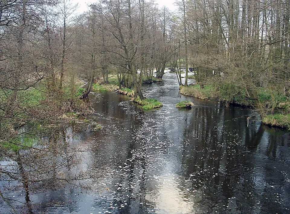 Rechte Skrwa