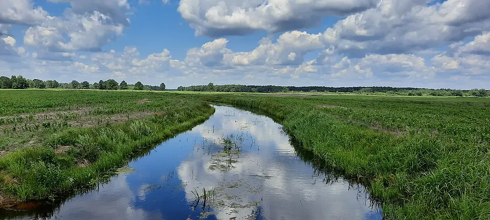 Skrypіca