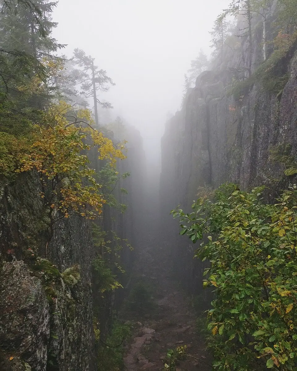 Skuleskogen
