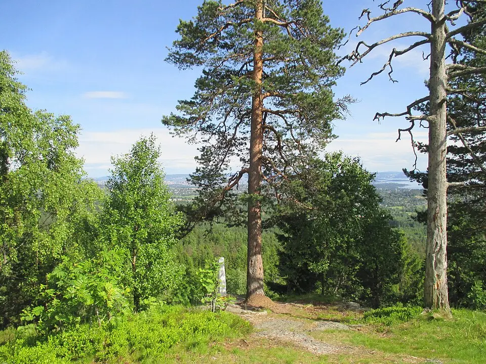 Bærumsmarka