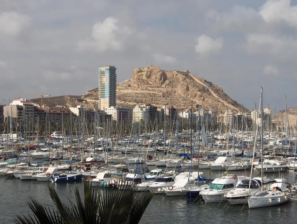 Campo de Alicante