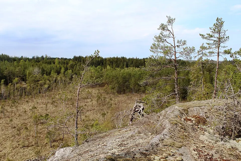 Slätmossen - Borgberget