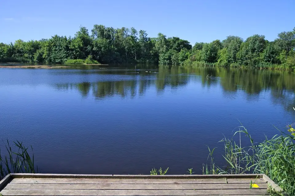 Slättängsdammarna
