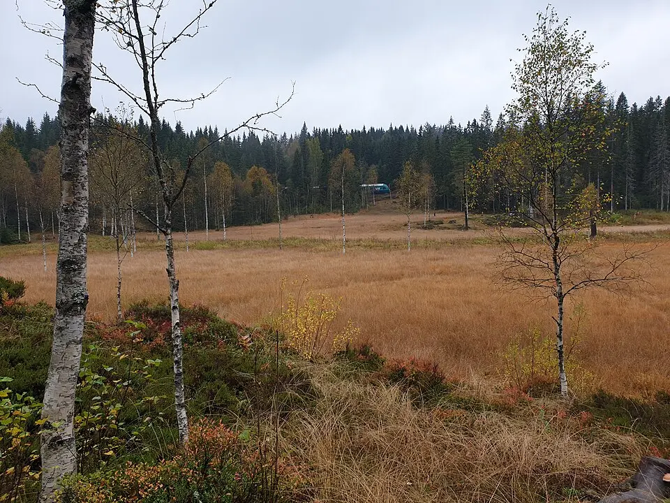 Slåttmyra naturreservat