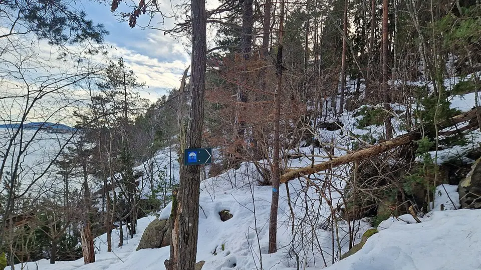 Slemmestadåsen - Morberg naturreservat