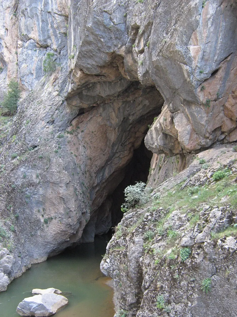 Tigristunnel