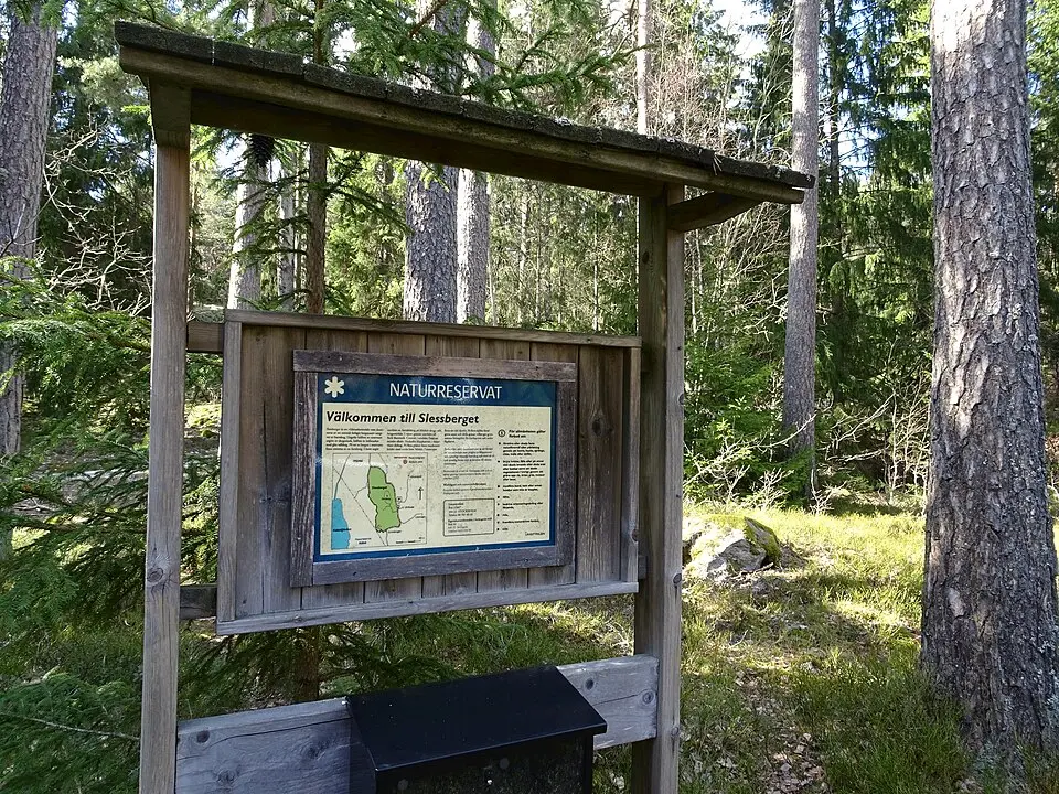 Slessbergets naturreservat
