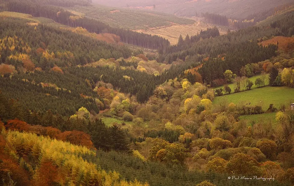 Slieve Bloom Mountains