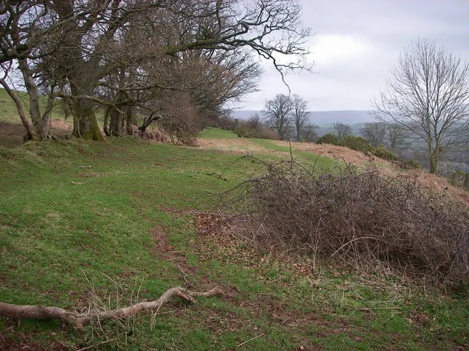 Slwch Tump