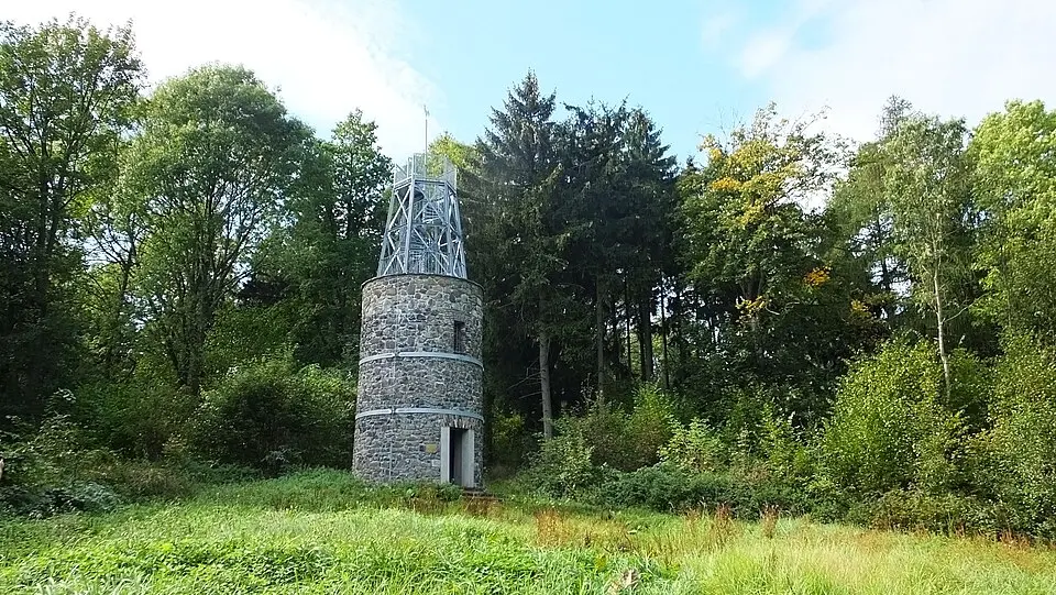 Kohout