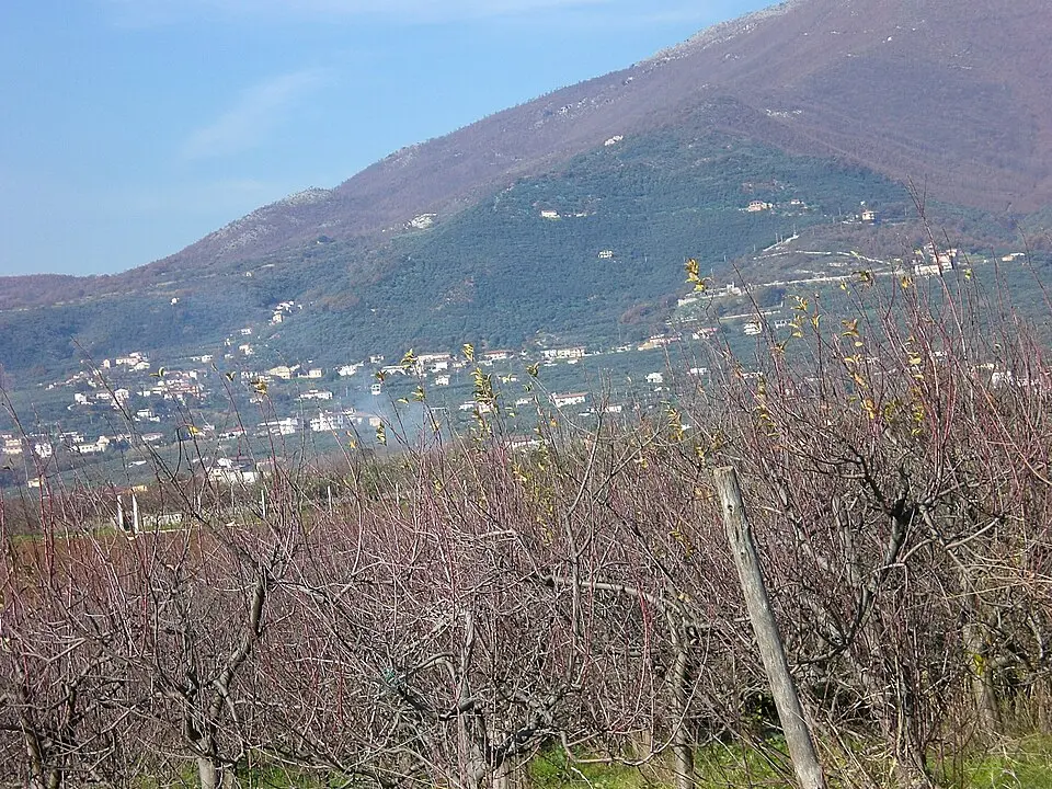 Santa Lucia-Santa Maria la Nova