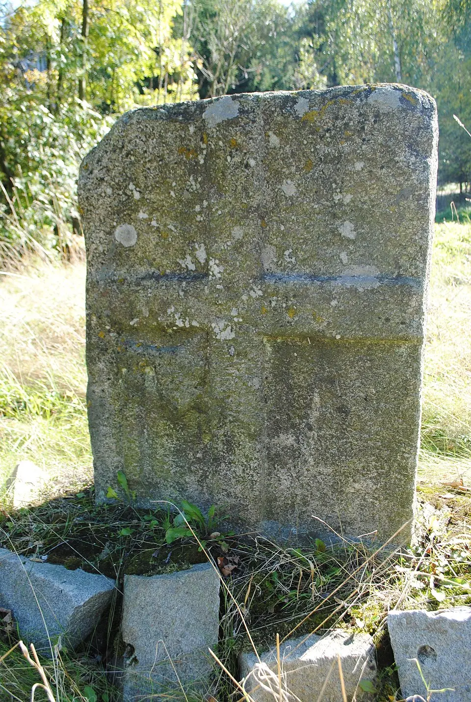 Lipolec