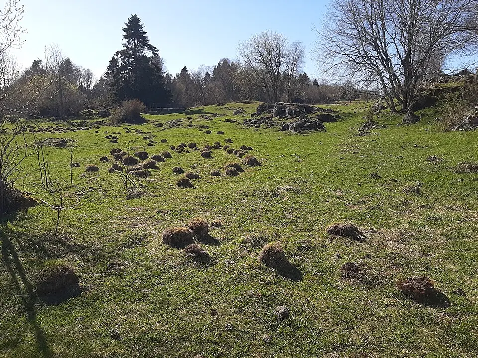 Smedsgården