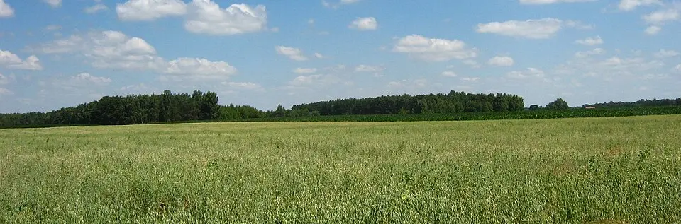 Smolanka