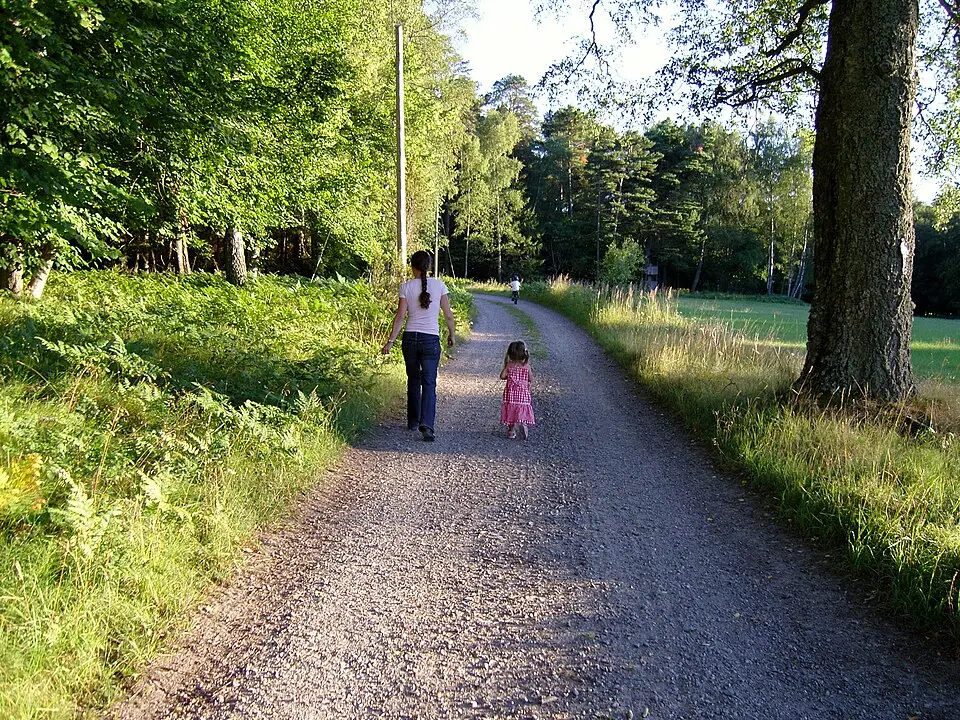 Järflotta naturreservat
