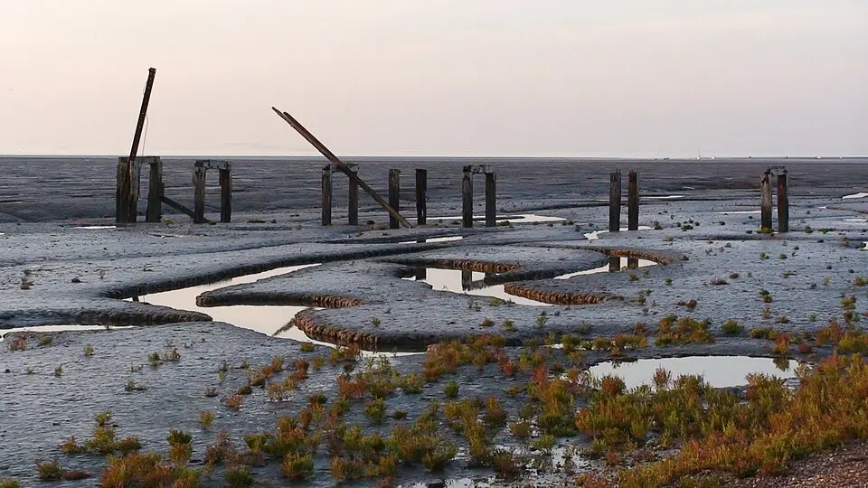 Snettisham RSPB reserve