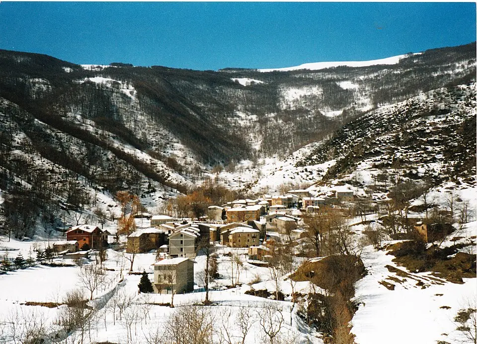 Fioli