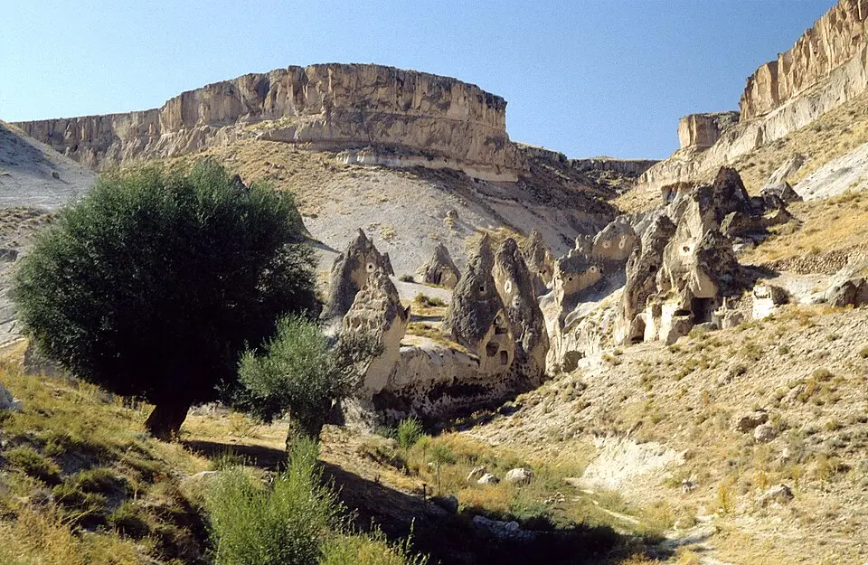 Soğanlı