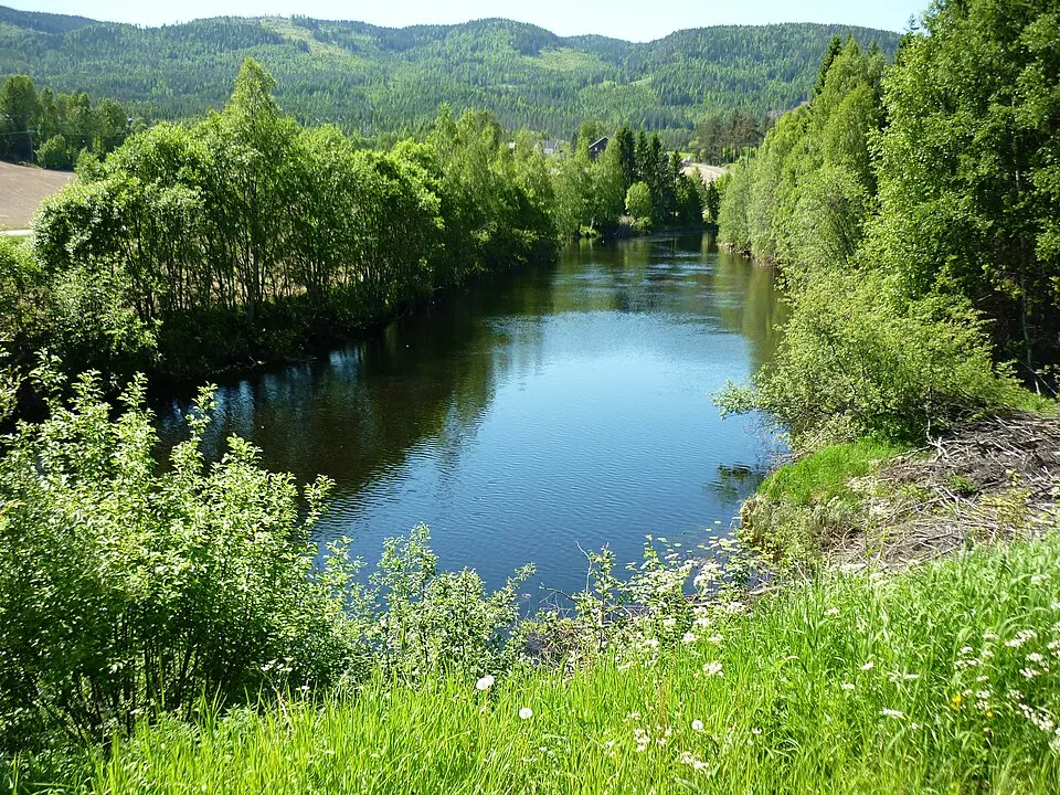 Sogna