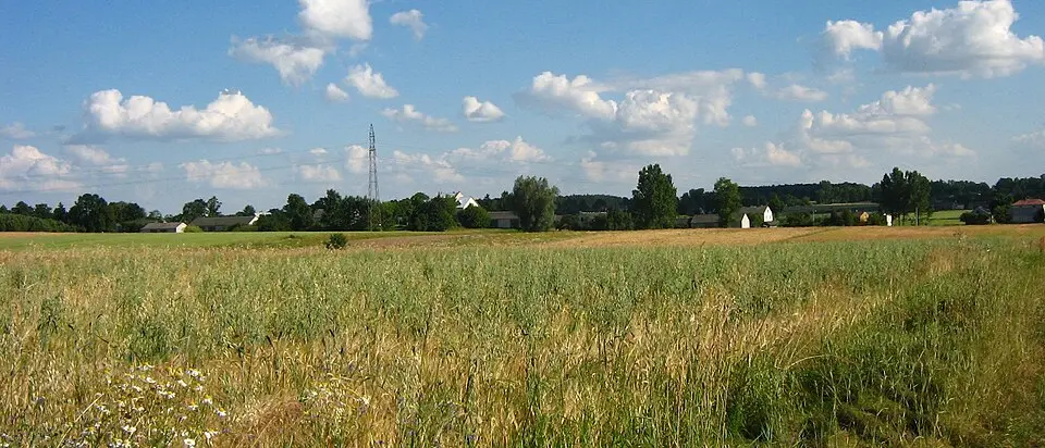 Sokół