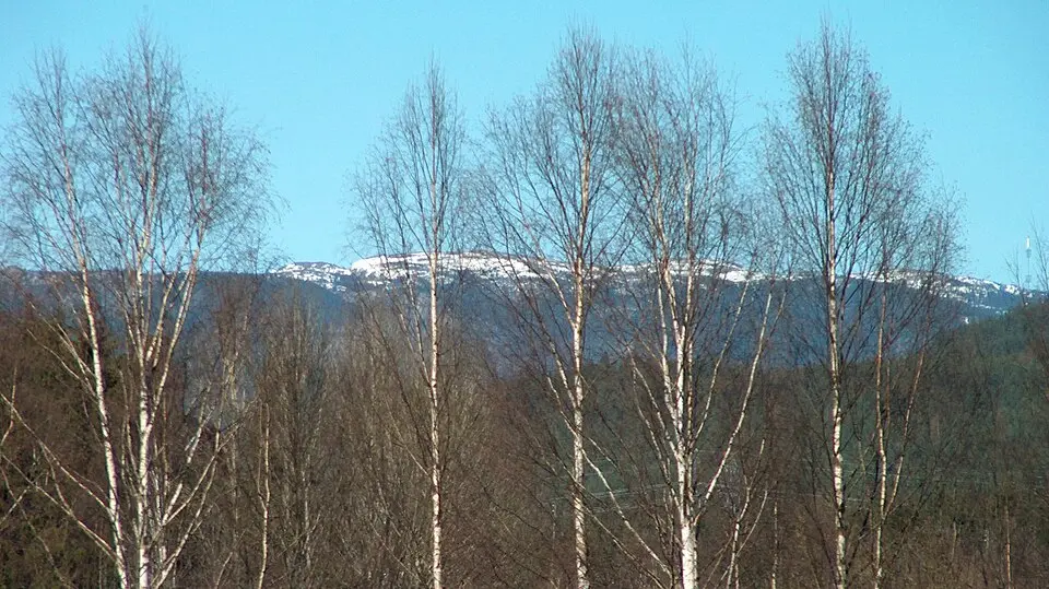 Ådalsfjellene