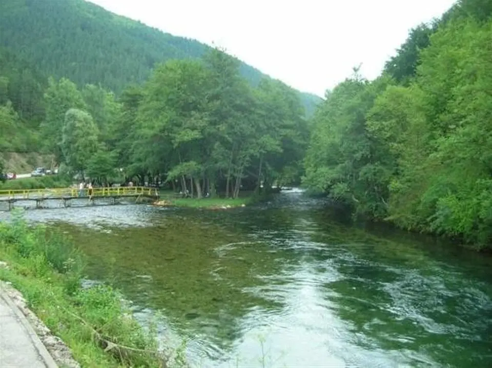Sokočnica