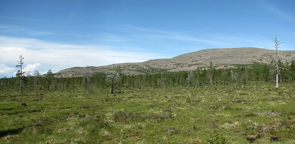 Sokosti