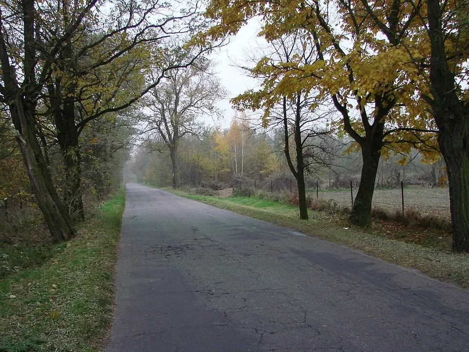 Sokule