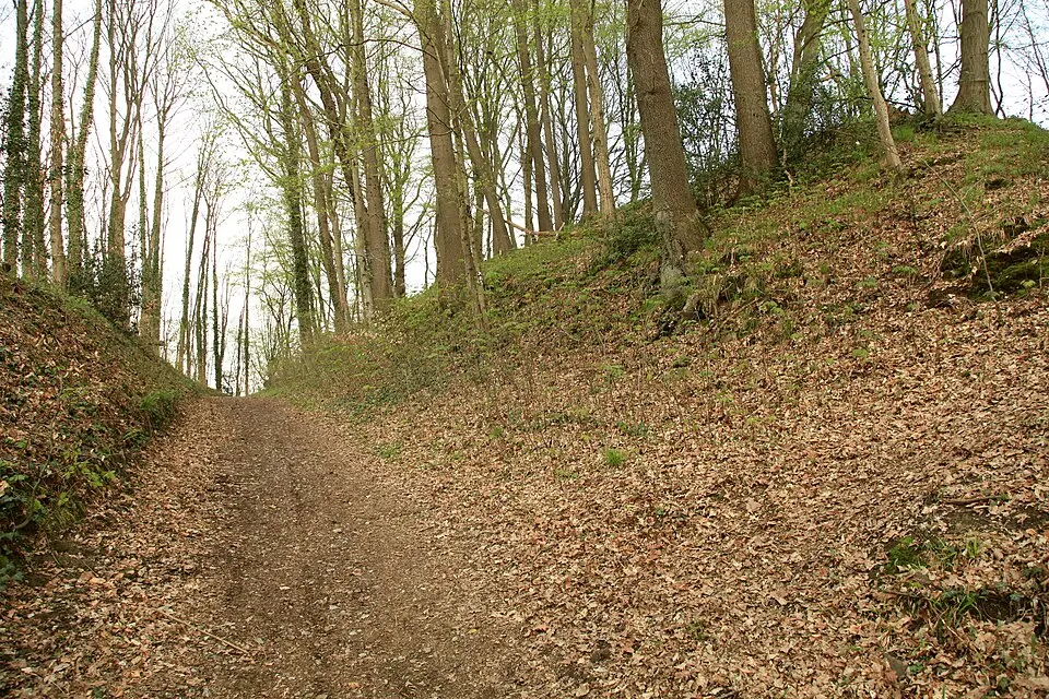 Ringwallanlage Galapa