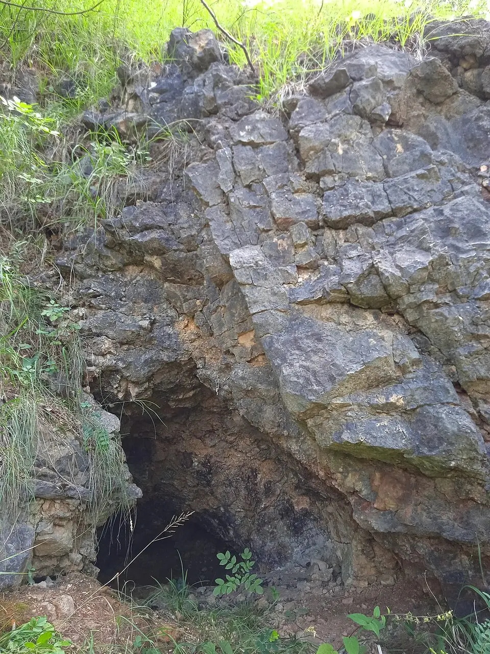 Solymári kőfejtő 1. sz. barlangja