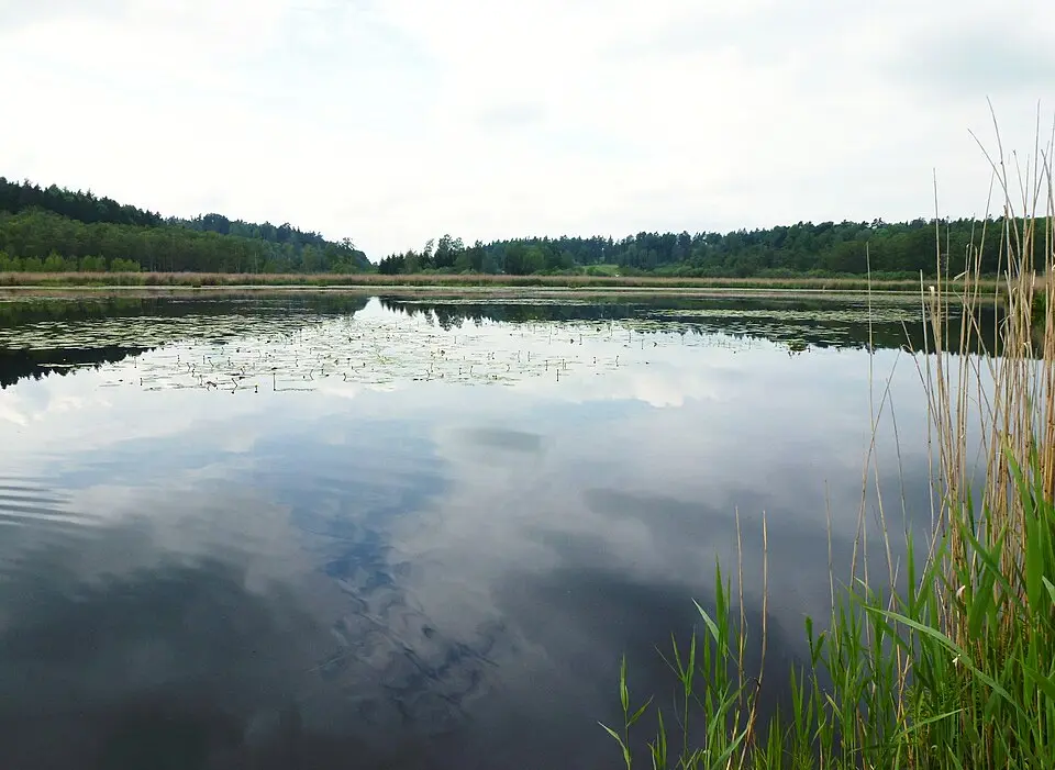 Somran