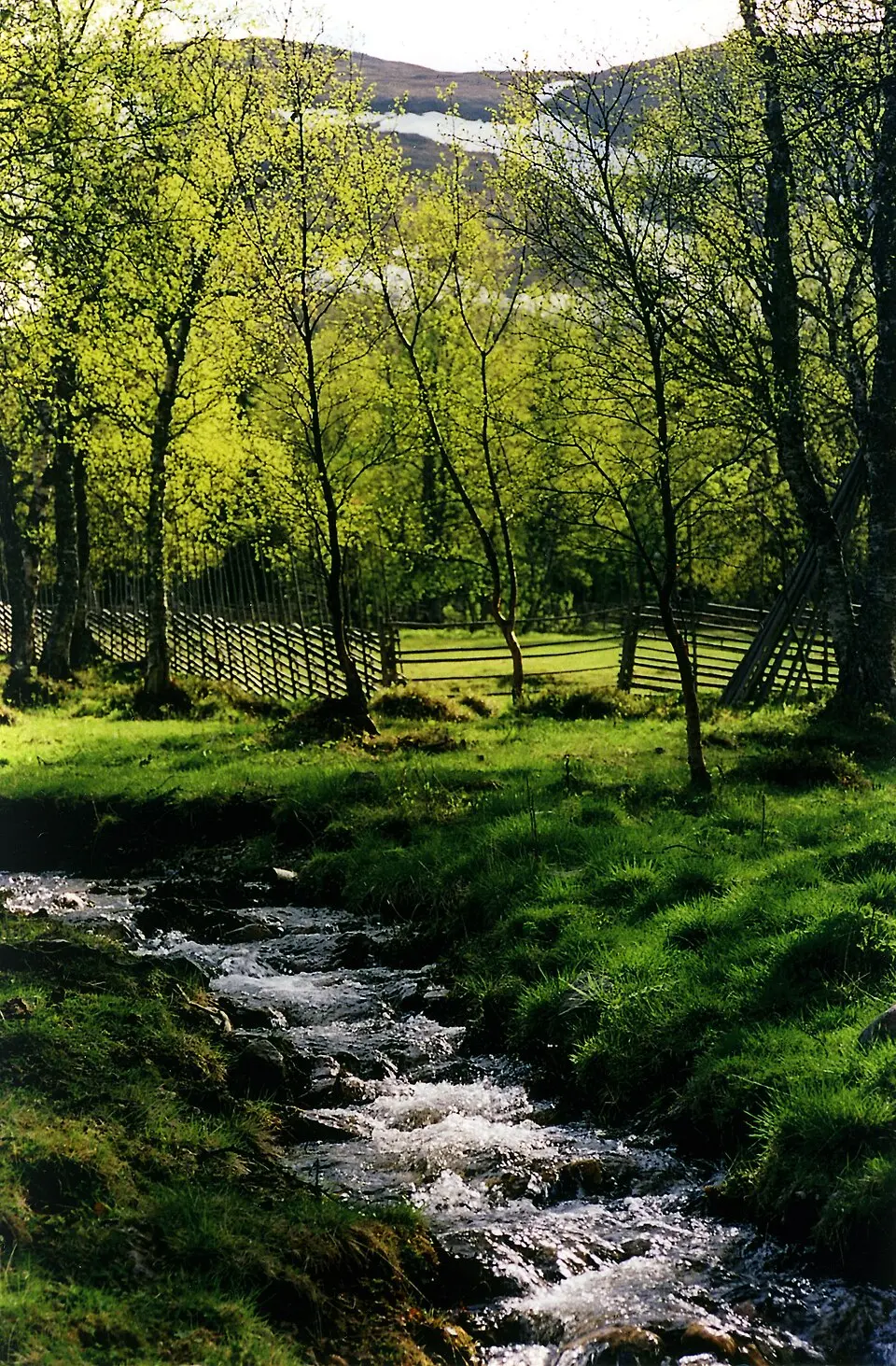 Nyvallens naturreservat