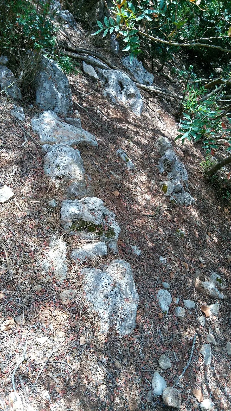 Habitación Prehistórica de Son Maiol