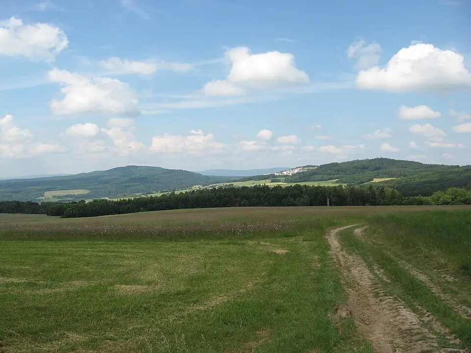 Soonwald