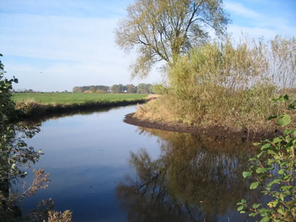 Obrázek: User Flussmensch on de.wikipedia · CC BY-SA 2.0 DE Sorge
