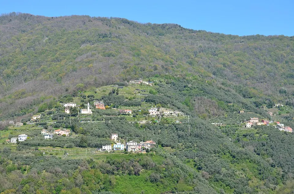 Sorlana