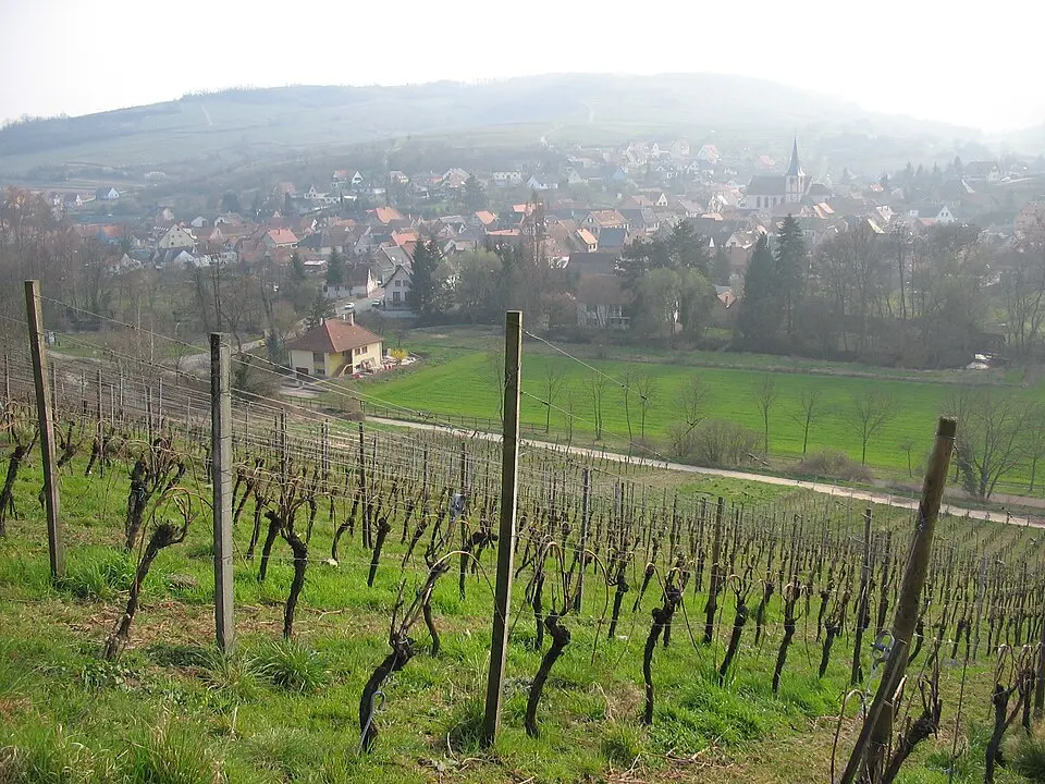 Slika: Denis Helfer · CC BY 2.5 Soultz-les-Bains