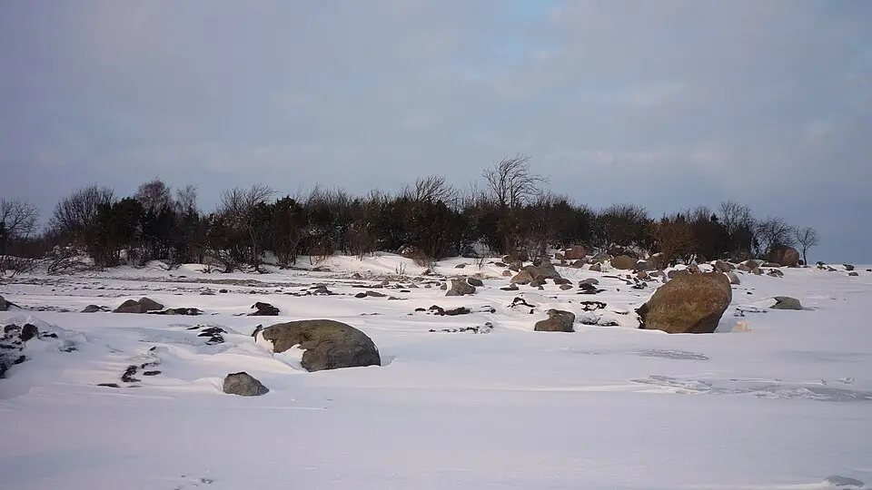 Kõrgelaid