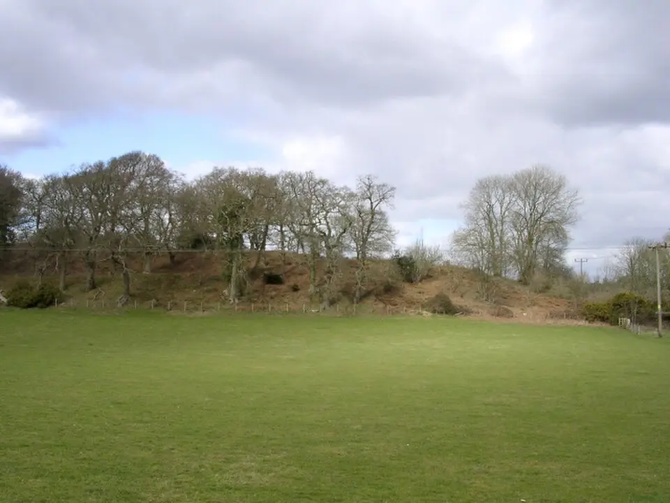 Buckland Rings