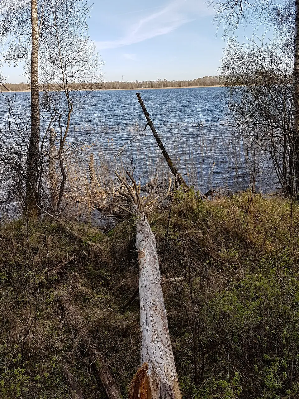 Воласа Паўднёвы