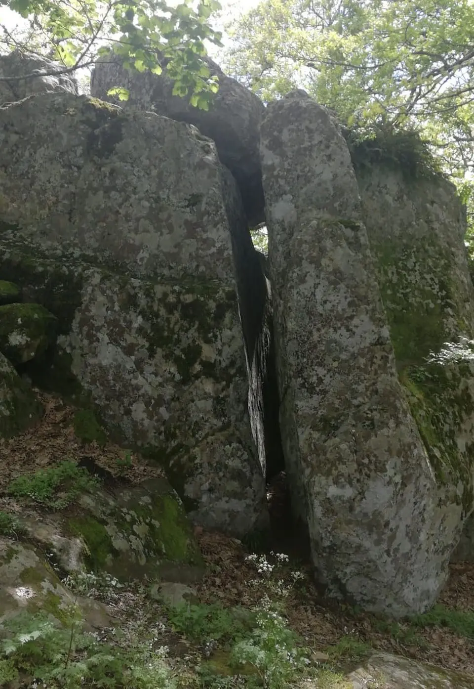 petre de la Mola